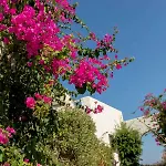 Stagones Luxury Aparthotel Ambelas