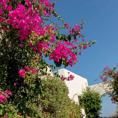 Stagones Luxury Aparthotel Ambelas