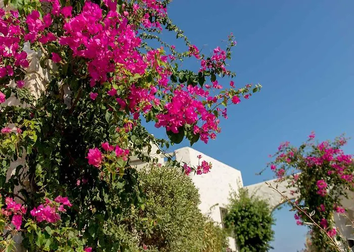 Stagones Luxury Aparthotel Parikia (Paros)